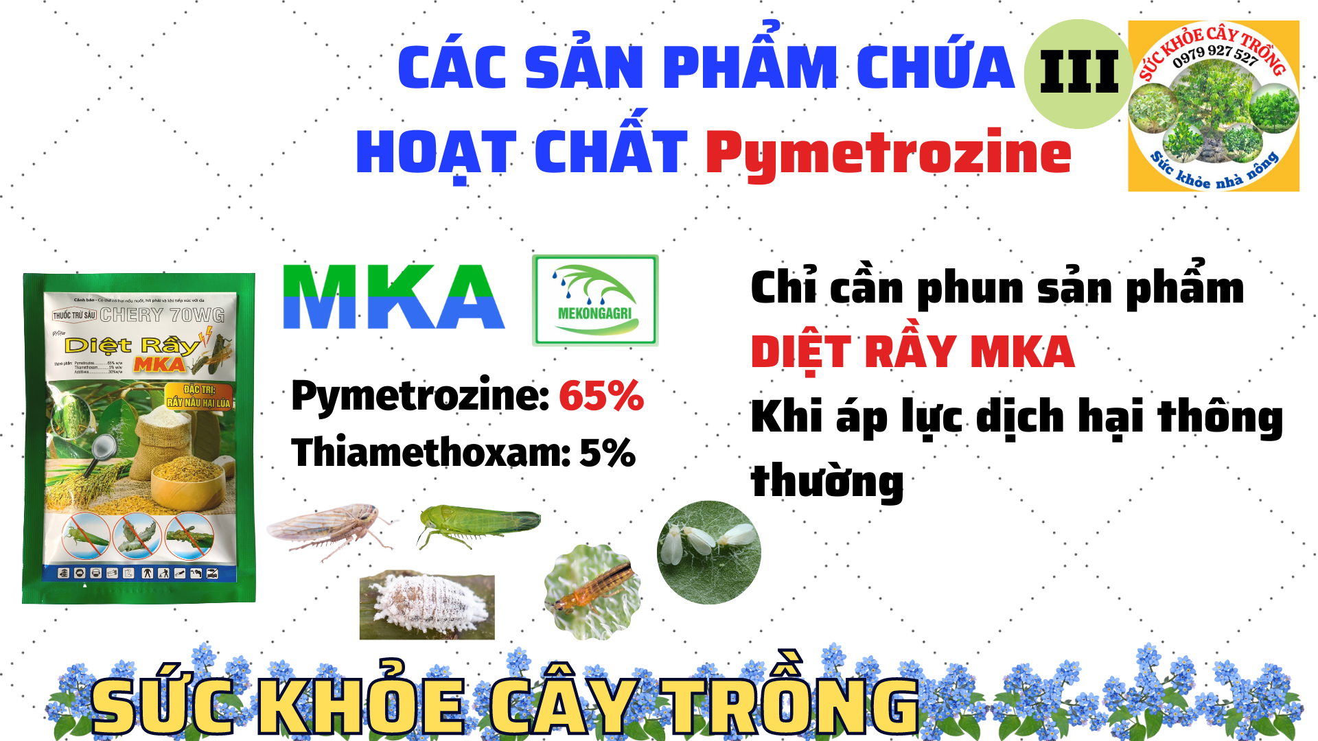 6 yếu tố quan trọng ảnh hưởng đến hiệu quả của thuốc trừ sâu quản lý sâu bệnh hại